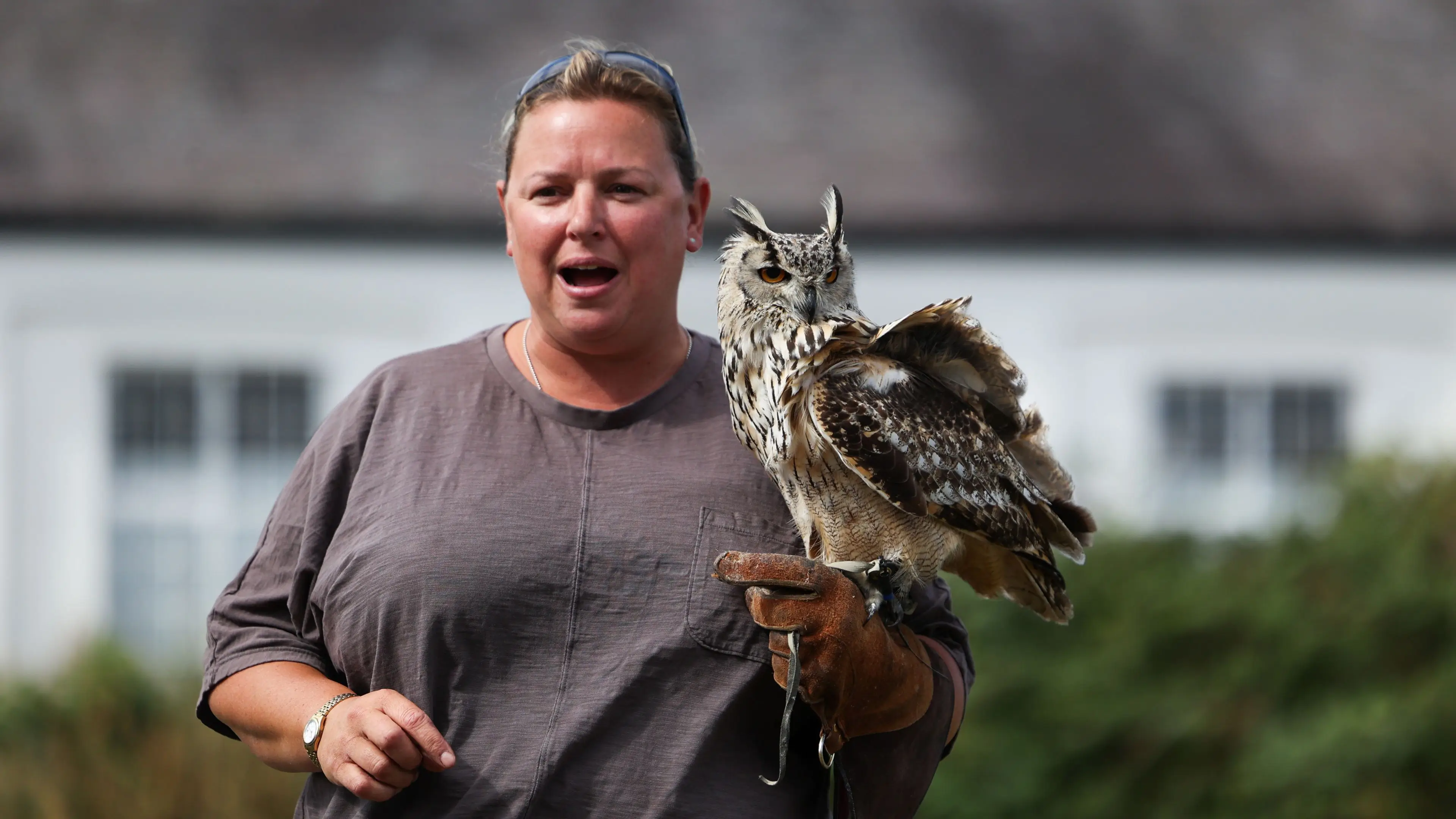 Birds of Prey Day