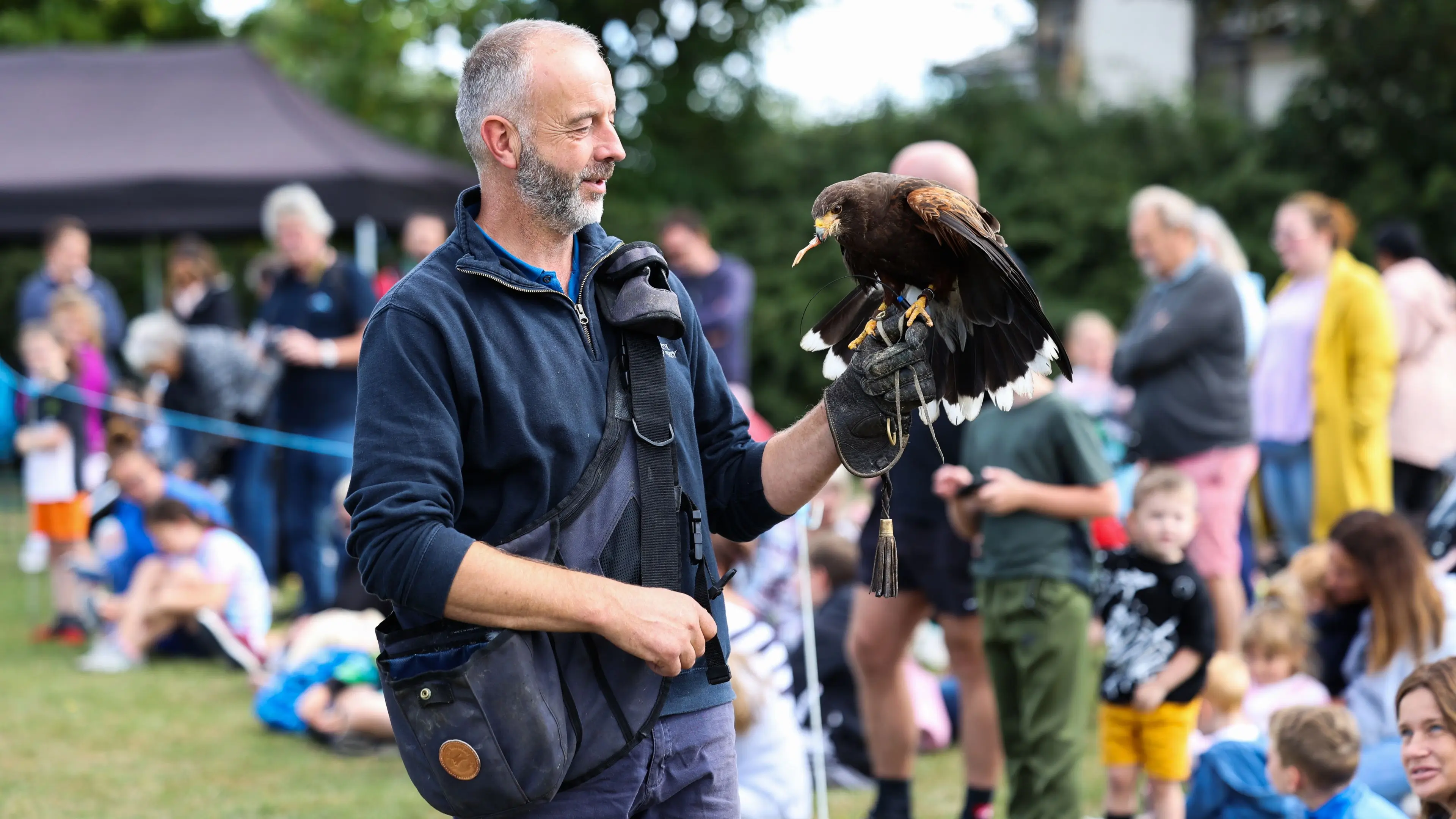 Birds of Prey Day