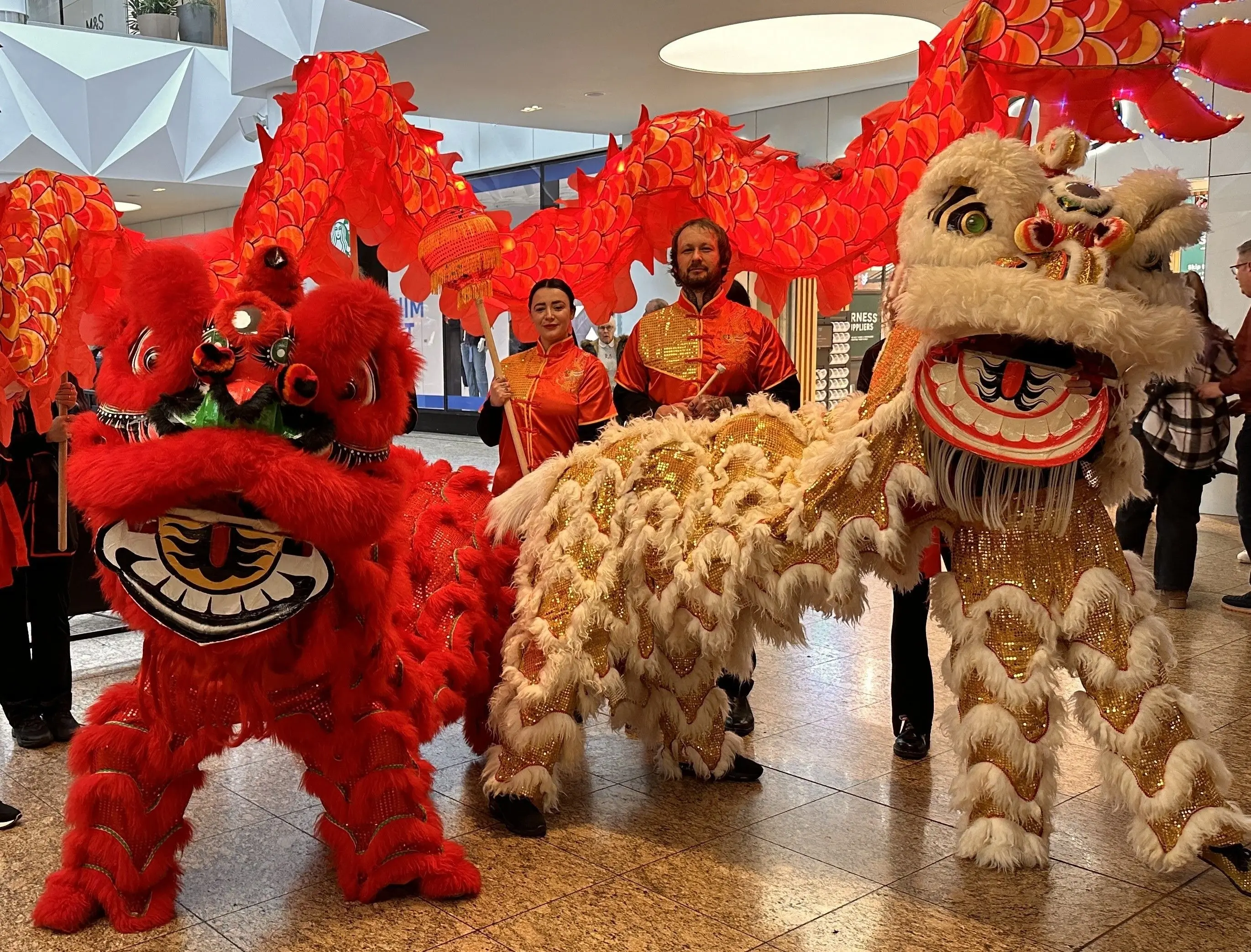 Chinese New Year Celebration Day